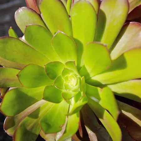 Paraiso Aldeano 2 San Nicolás