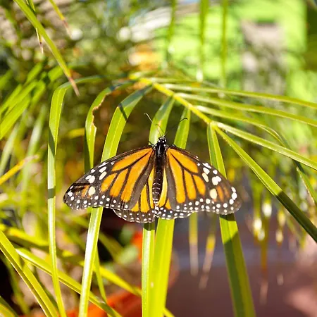 Paraiso Aldeano 2 בית נופש *